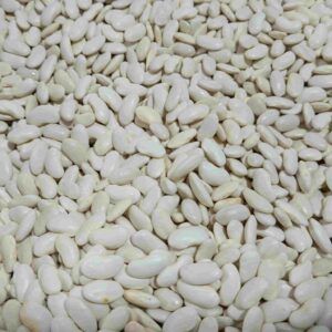 alubia planchada blanca