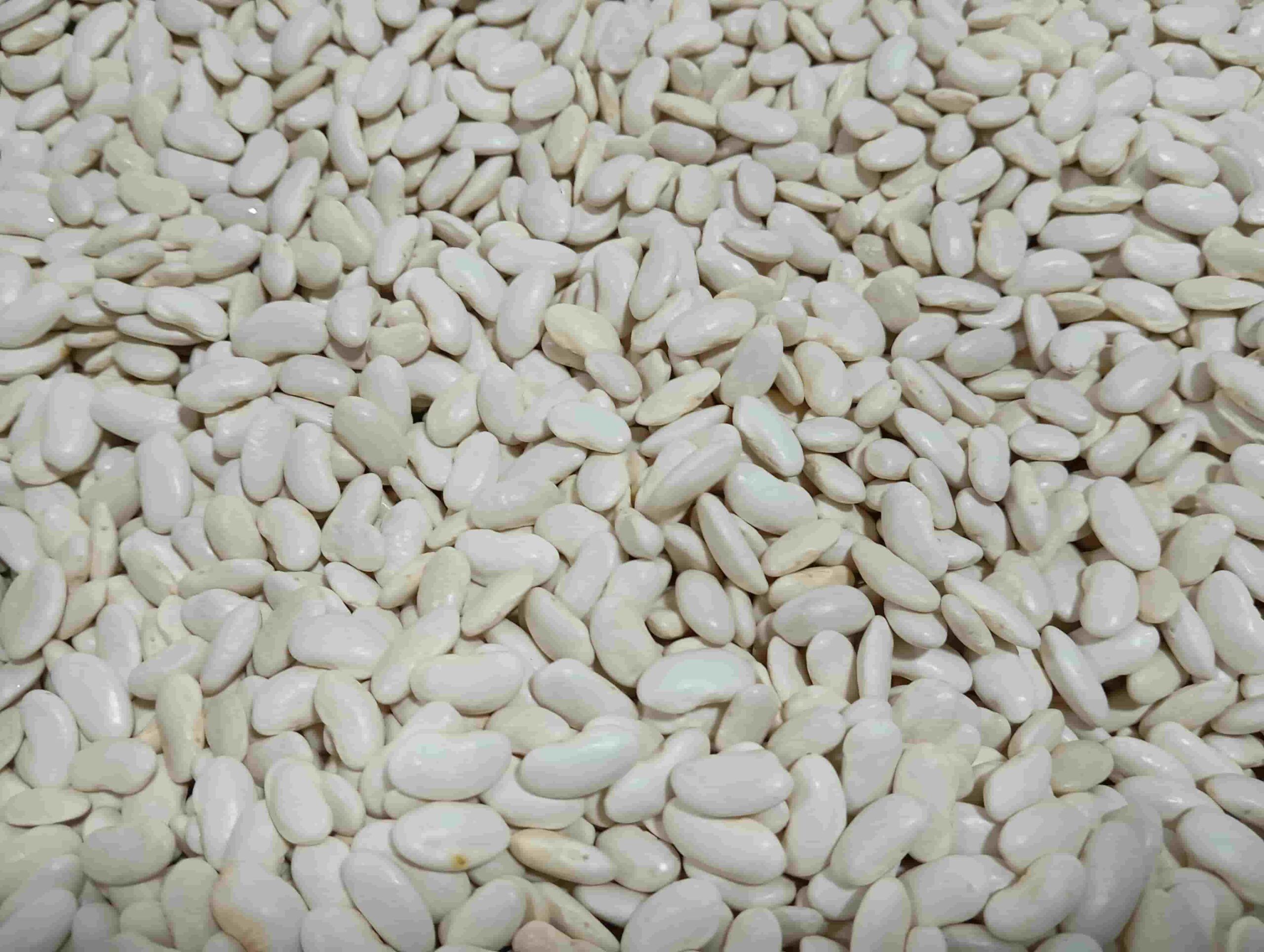 alubia planchada blanca